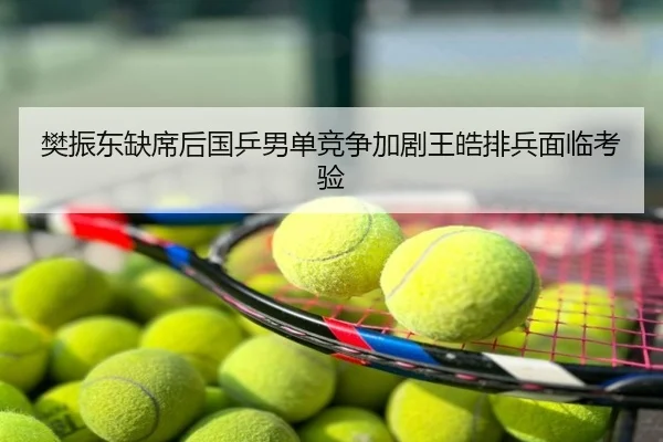 樊振东缺席后国乒男单竞争加剧王皓排兵面临考验