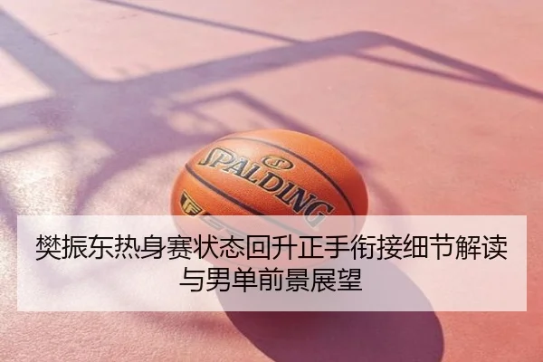 樊振东热身赛状态回升正手衔接细节解读与男单前景展望