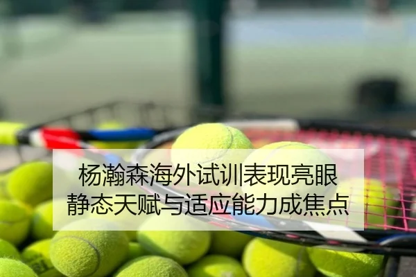 杨瀚森海外试训表现亮眼 静态天赋与适应能力成焦点